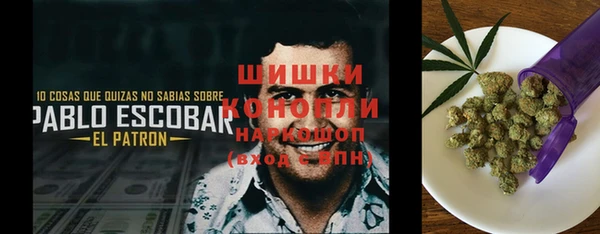 ГАЛЛЮЦИНОГЕННЫЕ ГРИБЫ Беломорск
