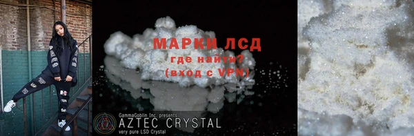 прущие грибы Белокуриха