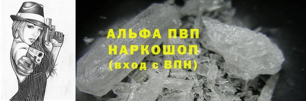 прущие грибы Белокуриха