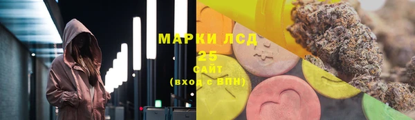 прущие грибы Белокуриха