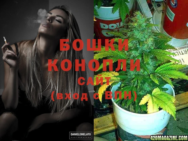 прущие грибы Белокуриха