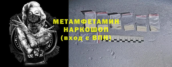 прущие грибы Белокуриха