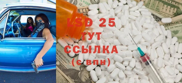 прущие грибы Белокуриха