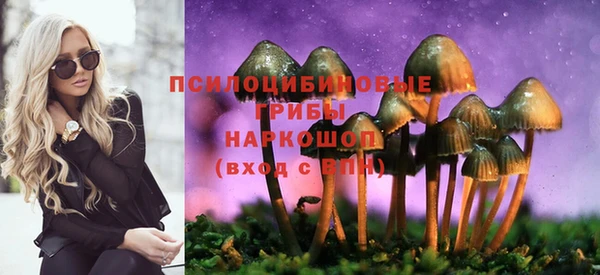 прущие грибы Белокуриха
