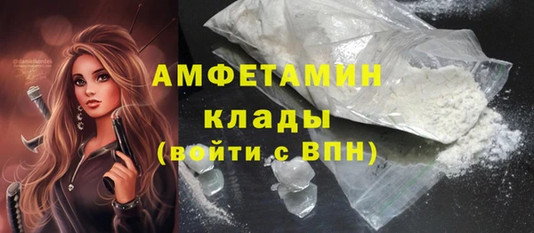 прущие грибы Белокуриха
