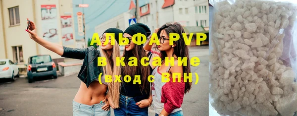 прущие грибы Белокуриха