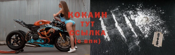 индика Белоозёрский
