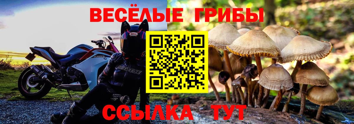 Псилоцибиновые грибы Psilocybine cubensis  Вход с VPN  Видное 
